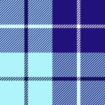 Navy And Pale Blue Tartan Plaid