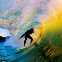 Hawaiian Wetsuits for your Computer and Tablet