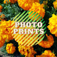 Photoprints