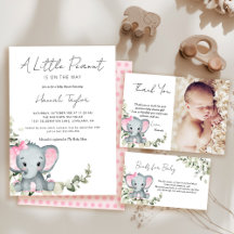 Elephant Girl Theme Baby Shower