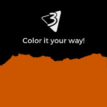 Orange and Black Pillows - Living Room