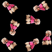Oodles of Poodles