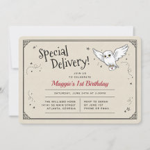 Harry Potter Hedwig Special Delivery Birthday