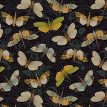 Lanternflies - Pyrops Candelaria & Planthoppers