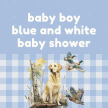 Baby Boy Blue Baby Shower Collection