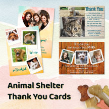 Thank You, Animal Shelter