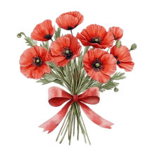 Flowers Floral Sunflowers Poppies