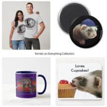 Ferrets on Everything