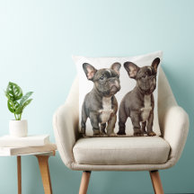 THE FRENCH BULLDOG COLLECTION