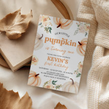 Little Pumpkin Turning One 1st Birthday Collection