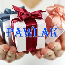 Pawlak_Name T-Shirt