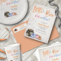 Halloween Gender Reveal Little Boo Party Supplies