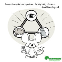 The Amygdalab: The Copernicus Collection