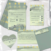 Daisies on Sage Hand-drawn