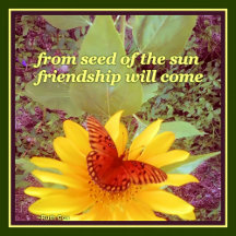 Blessings and abitosunshine