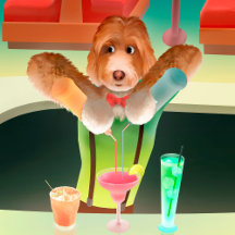 Cavapoo Dog Bartender Preparing Cocktails