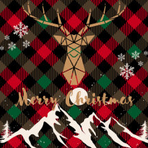 Throw Pillows Collection 