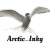 Arctic_Inky