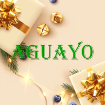 Aguayo Name T-Shirt