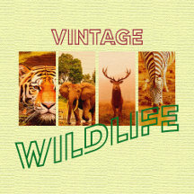 Vintage Wildlife