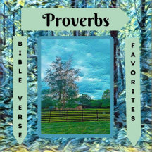 Proverbs Bible Verse Favorites