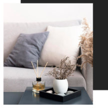 Decorative Themed Pillows