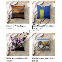 Throw pillows with travel photos