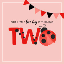 Ladybug 2nd Birthday