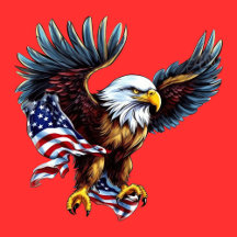 4th of July American Bald Eagle