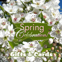 Spring Celebration Apple Blossoms