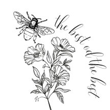 bee the best of the best, bee