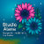 Studio_Alana