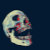 BitterSweetSkull