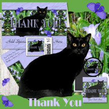 Wildflowers and Black Cat Thank You