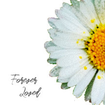 White Daisy Memorial Collection