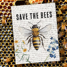 Save the Bees
