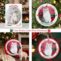 Cute Festive Cat's First Christmas