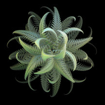 Fractal Fern Bloom