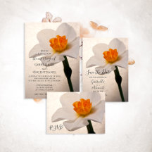 White Spring Daffodil Flower Wedding