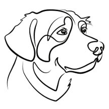 Golden Retriever - Good Vibes, Golden Style