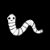 DoodlyWorm