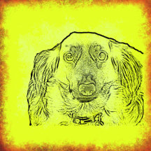  Gifts Featuring Fur Baby Photo And/Or Nickname