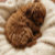 ThePoodleAtelier