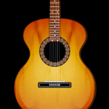 ACOUSTIC GUITAR COLLECTION