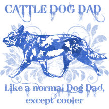 Cattle Dog Dad