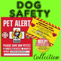 Dog Safety Collection