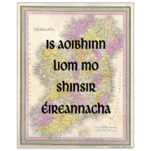 I Love My Irish Ancestors
