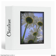 Unique Daisy Looking at the Sky