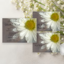 Soft White Daisy Flower on Gray Wedding