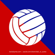red and blue volleyball team colors